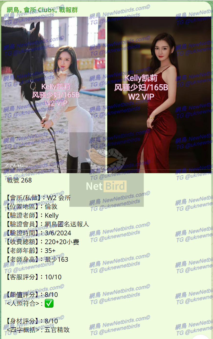 戰號 268 1.png